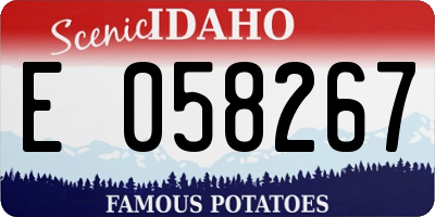 ID license plate E058267