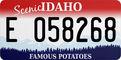 ID license plate E058268