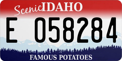 ID license plate E058284
