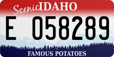 ID license plate E058289
