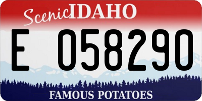 ID license plate E058290
