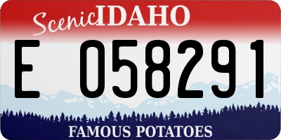 ID license plate E058291