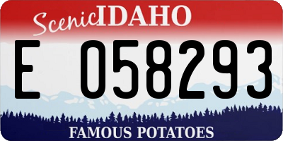 ID license plate E058293
