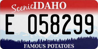 ID license plate E058299