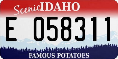 ID license plate E058311