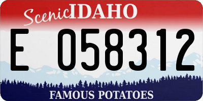 ID license plate E058312