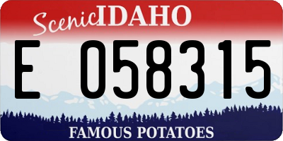 ID license plate E058315