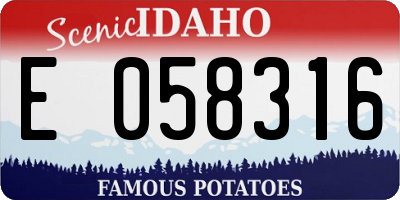 ID license plate E058316