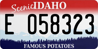 ID license plate E058323