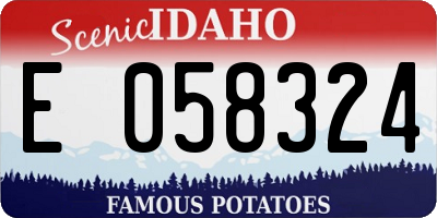 ID license plate E058324