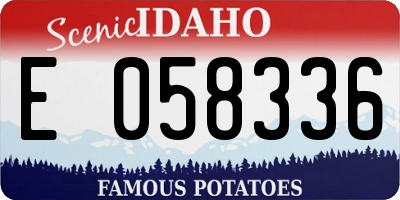 ID license plate E058336