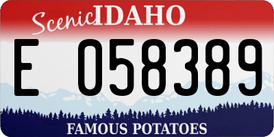 ID license plate E058389