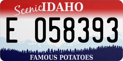 ID license plate E058393