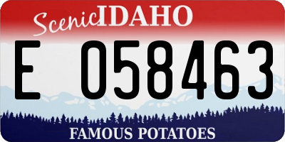 ID license plate E058463