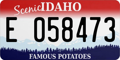 ID license plate E058473