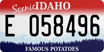 ID license plate E058496