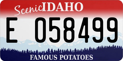 ID license plate E058499