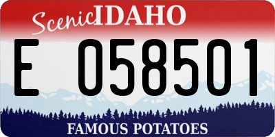 ID license plate E058501