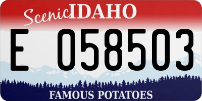 ID license plate E058503