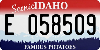 ID license plate E058509