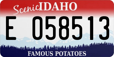 ID license plate E058513