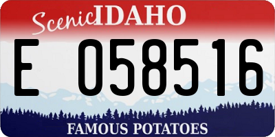 ID license plate E058516