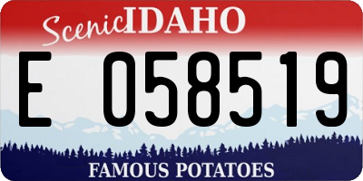 ID license plate E058519