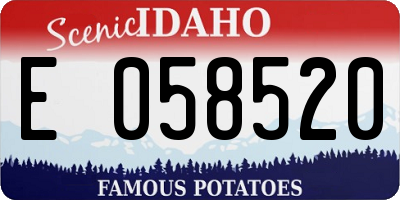 ID license plate E058520