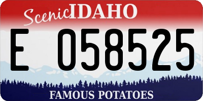 ID license plate E058525