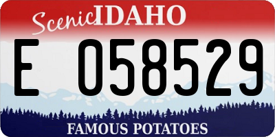 ID license plate E058529
