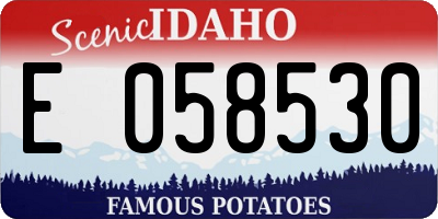 ID license plate E058530