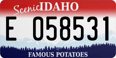 ID license plate E058531