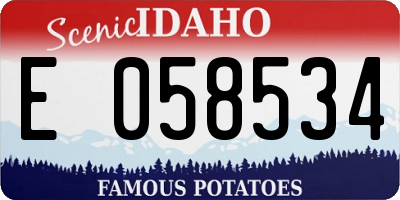 ID license plate E058534