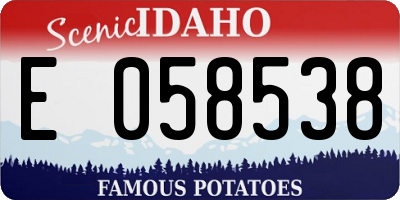 ID license plate E058538