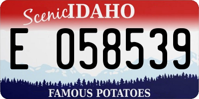 ID license plate E058539