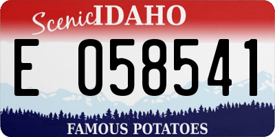 ID license plate E058541