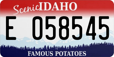 ID license plate E058545