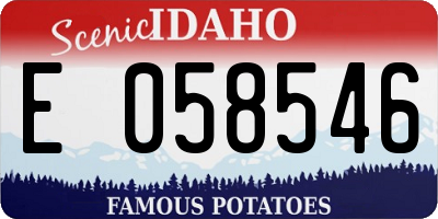 ID license plate E058546