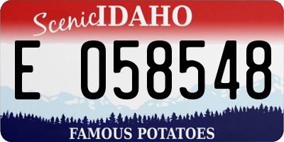 ID license plate E058548