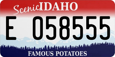 ID license plate E058555