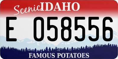 ID license plate E058556