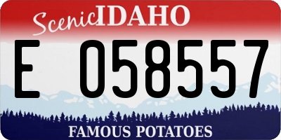 ID license plate E058557