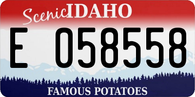 ID license plate E058558