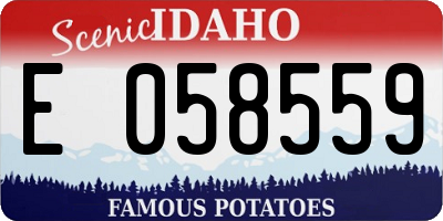 ID license plate E058559
