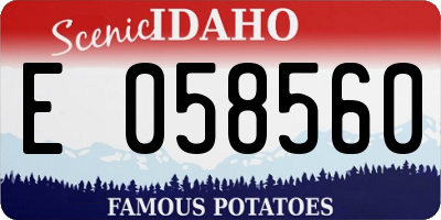 ID license plate E058560
