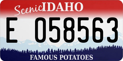 ID license plate E058563