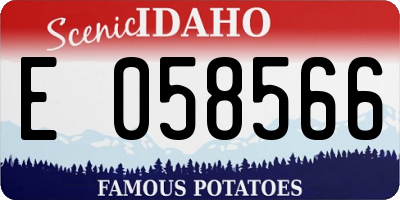 ID license plate E058566