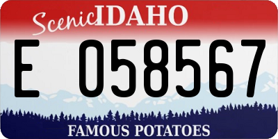 ID license plate E058567