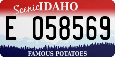ID license plate E058569
