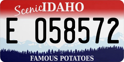 ID license plate E058572